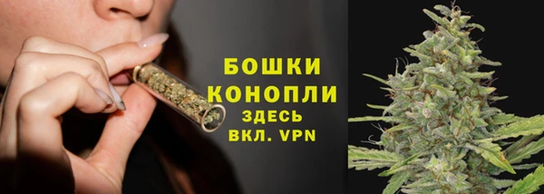 крисы Абдулино